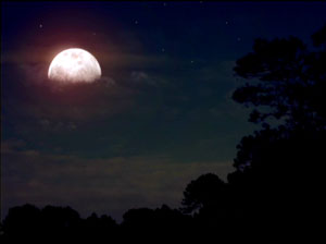 Night
