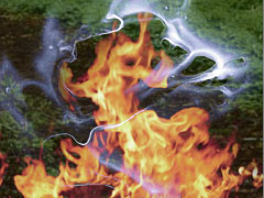Fire