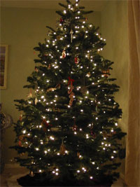 Solstice Tree