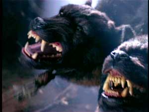 Cerberus
