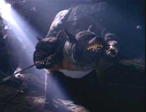 Cerberus