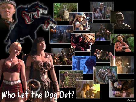 8.18 Who Let the Dog Out?